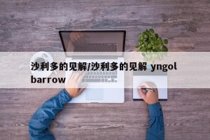 沙利多的见解/沙利多的见解 yngol barrow